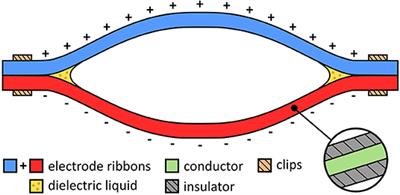 Closed-Loop Control of Electro-Ribbon Actuators